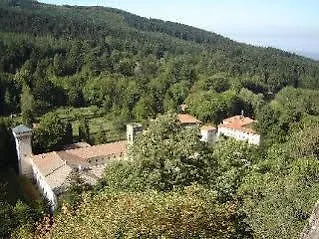 فندق La Foresta 3*